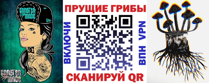 где можно купить   Новоузенск  Галлюциногенные грибы прущие грибы 